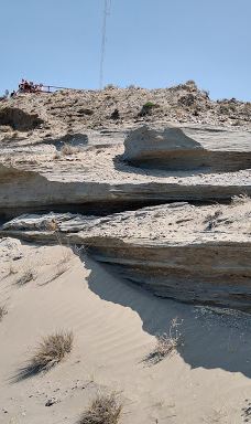 Caleta Valdés-别德马