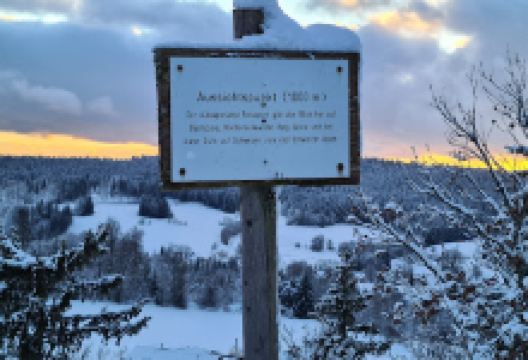 Zum Bürgle Aussichtspunkt景点图片