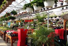 Villiard / Serres & Jardins购物图片