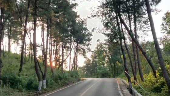 金葉大木美麗鄉村旅遊區