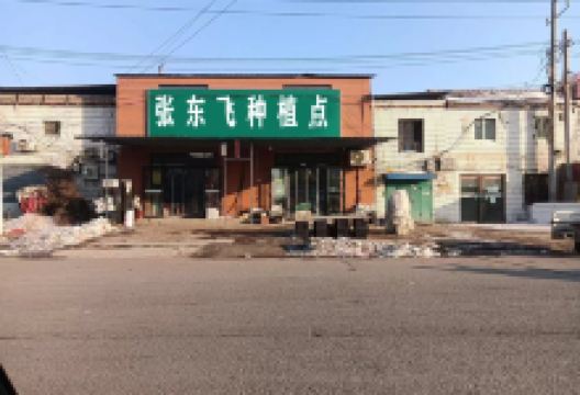 张东飞种植点购物图片