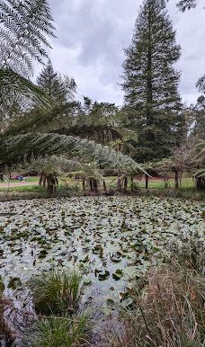Maroondah Reservoir Park-希尔斯维尔