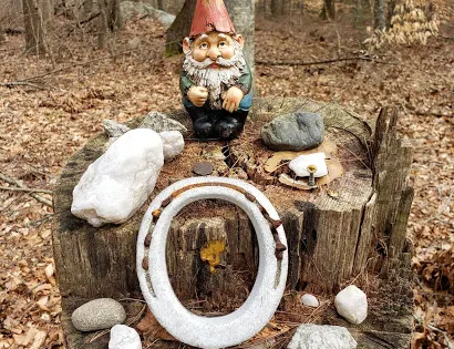 Copicut Woods