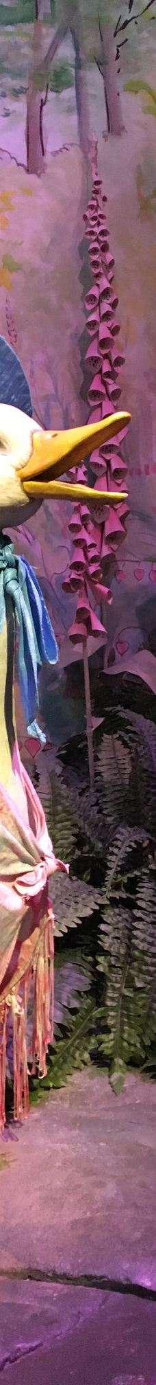 彼得兔世界-鲍内斯温德米尔