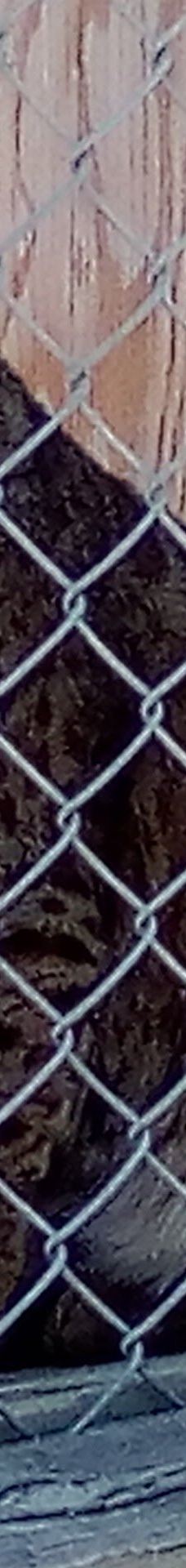 大熊湖动物园-大熊湖