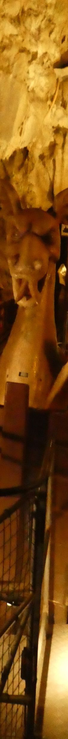 Grottes de Betharram-圣佩德比戈尔