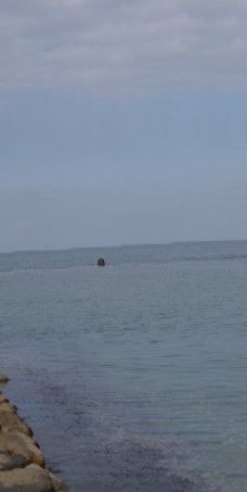 雨晴海岸-高冈市