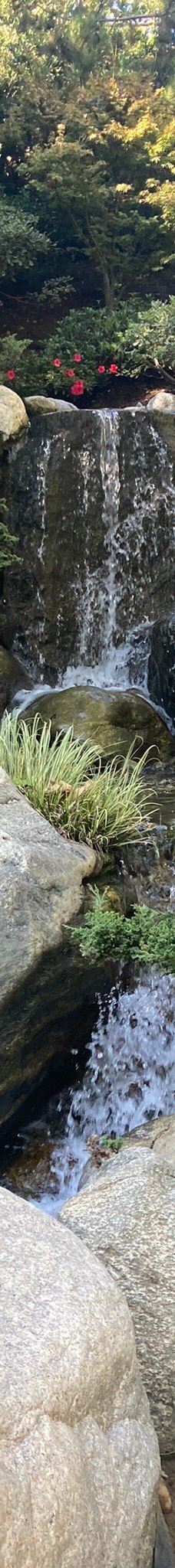 Japanese Friendship Garden & Museum-圣地亚哥