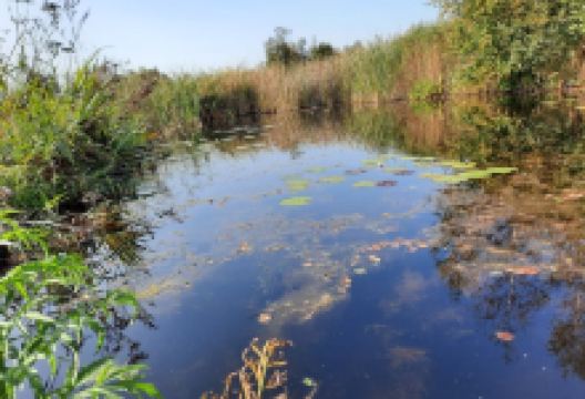 旧菲嫩国家公园景点图片