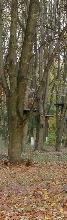 Bozdoshskiy Park-乌日霍罗德