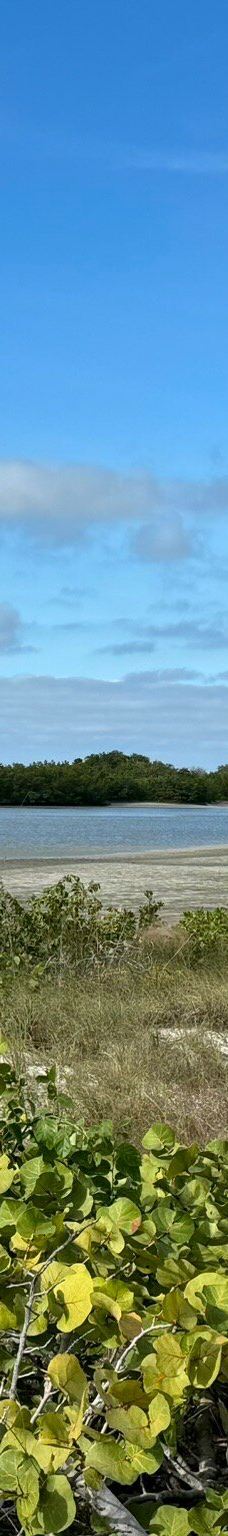 Tigertail Beach-马可岛