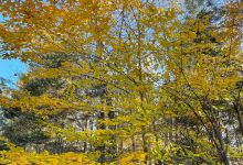 Harriman Reservoir景点图片