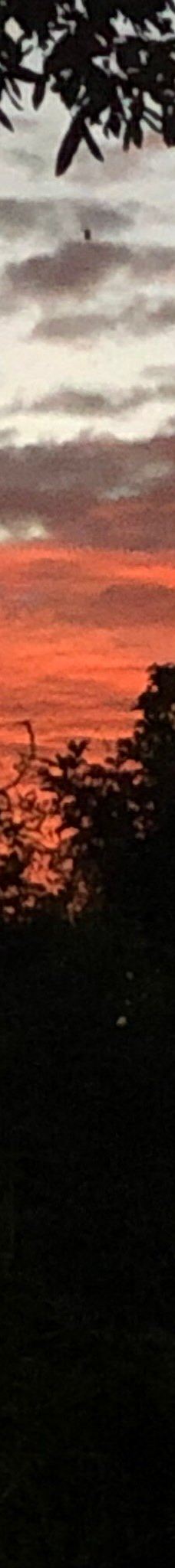 北大街-阿德莱德