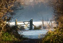 Sevenoaks Wildlife Reserve景点图片