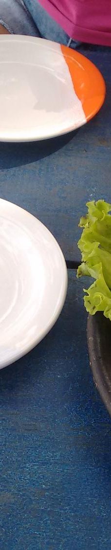 Coqueiro Beach-伊尔