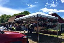 Hager's Farm Market购物图片