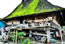Dokan Batak Village景点图片