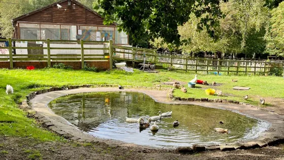 Tam O'Shanter Urban Farm