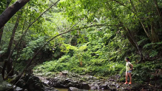 Ta Waterfall