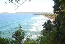 Taipa Beach景点图片