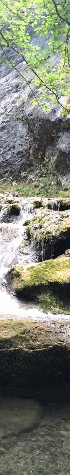 Parque Natural de Valderejo-Arabako Ibarrak