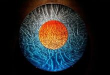 Wertheim Contemporary & Makawao Fine Art Galleries景点图片