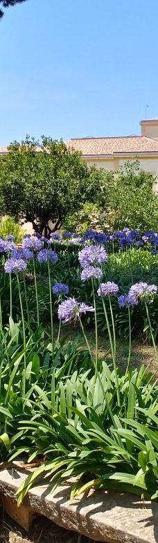 Fondazione Famiglia Piccolo-卡普多兰多