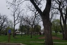 Tucker Park景点图片
