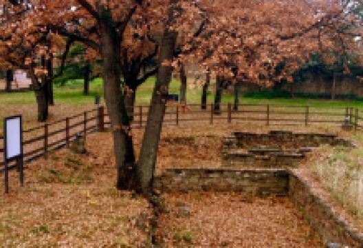 Parco archeologico Muggia vecchia景点图片