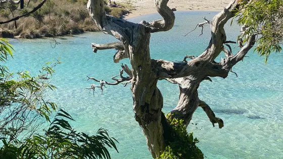 Prawn Rock Channel