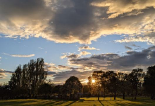 Welfare Park景点图片