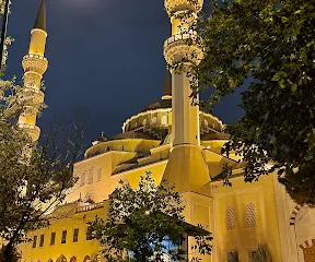 埃爾圖魯爾加齊清真寺