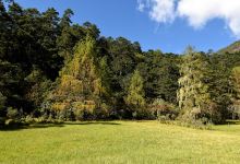 Pumola Nature Trail Canopy 4景点图片