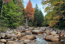 Sugarloaf Campground II景点图片