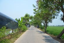 PATUNG TANI CILEBAR景点图片