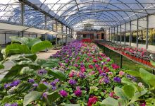 Vivero Tierra Baldía购物图片