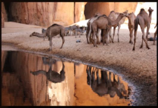 Guelta d'Archei Lake景点图片