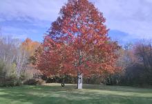 East Orrington Congregational Church景点图片
