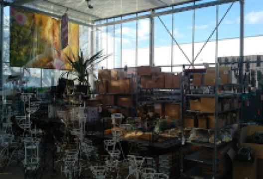 oasis Landscaping购物图片