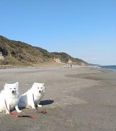 Ikobe Coast-丰桥市