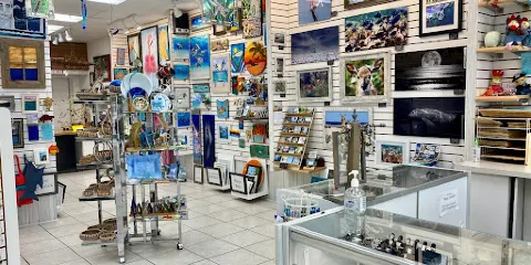 Artists In Paradise Gallery