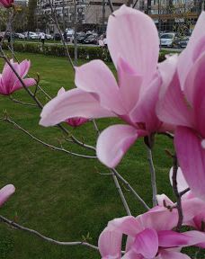 Pryberezhnyy square-Dnipropetrovs'ka city council
