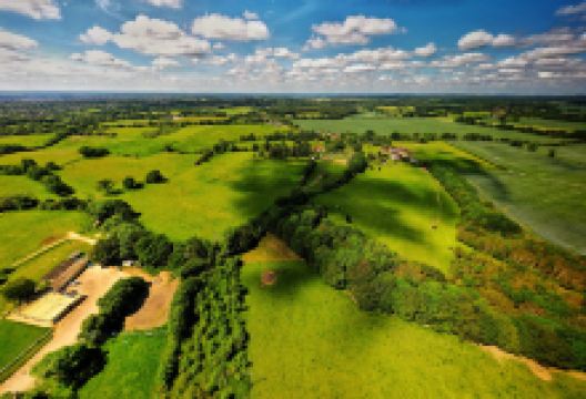 Reading Abbey Rugby Football Club景点图片