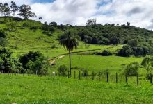 Fazenda Itaguassú景点图片