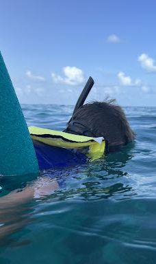 Islander Girl Snorkel & Tours-门罗县