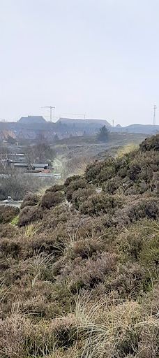 Aussichtspunkt „Dünenbalkon“ der Naturschutzgemeinschaft (NSG) Sylt bei List-里斯特