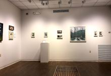 Little Art Gallery景点图片