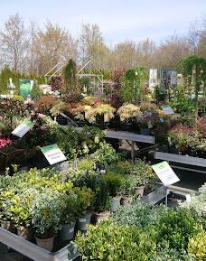 Dehner Garten-Center-开姆尼茨