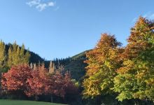 Twin Bridges Reserve景点图片