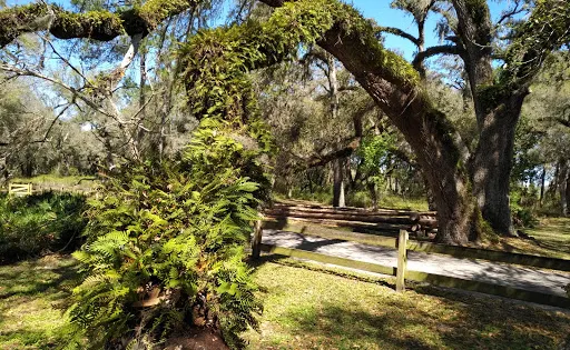 Dade Battlefield Historic State Park